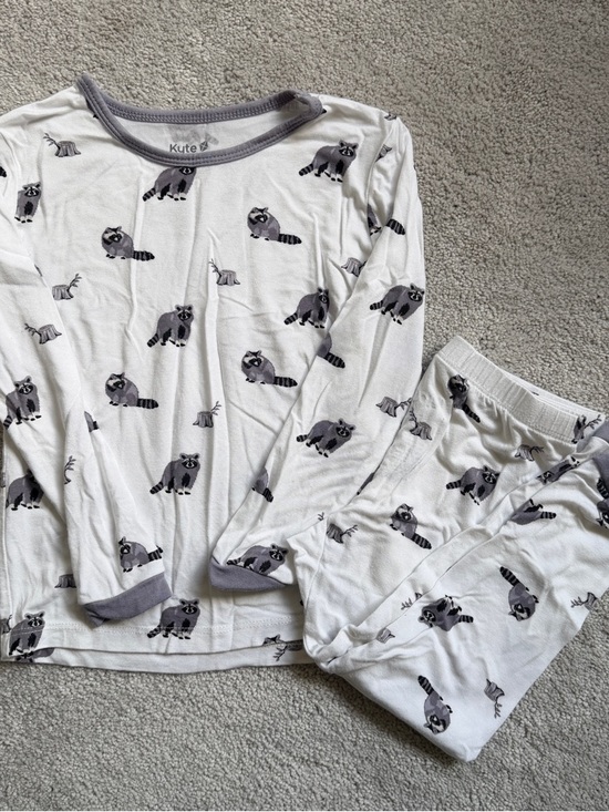 Kyte BABY Other - KYTE BABY Toddler Pajamas Size 3T Raccoon